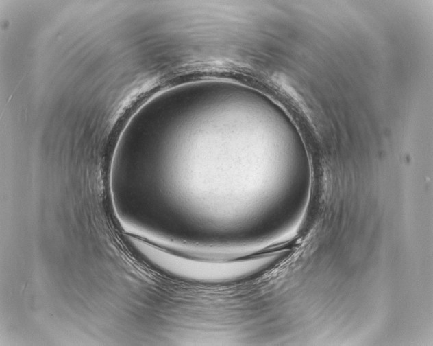 X0000088031218200705111147