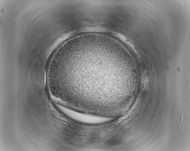 X0000088031221200705111147
