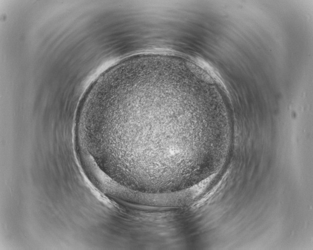 X0000088031237200705111147