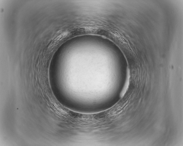 X0000088031249200705111147