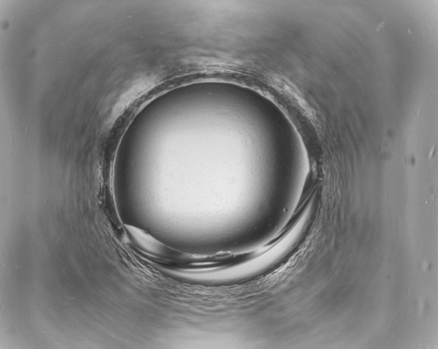 X0000088031261200705111147