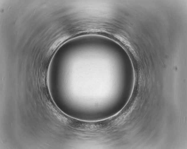 X0000088031273200705111146