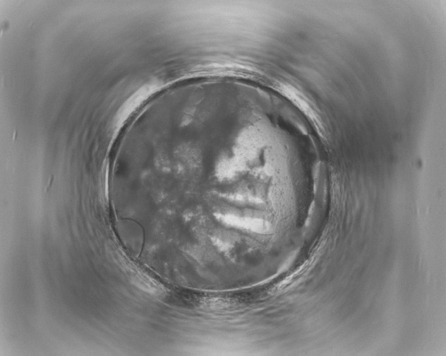 X0000088031275200705111146