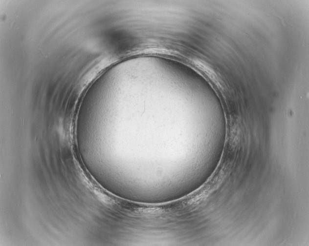 X0000088031282200705111146