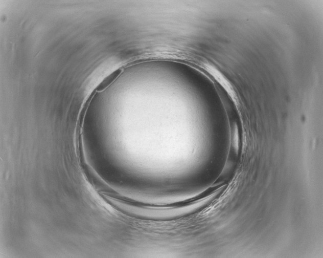 X0000088031293200705111146