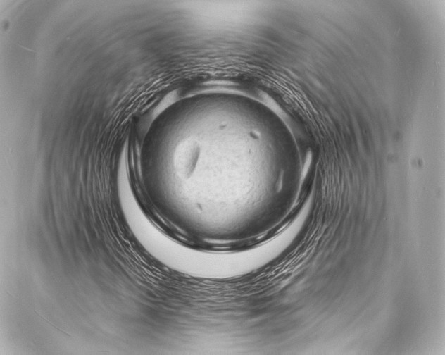 X0000088031298200705111145