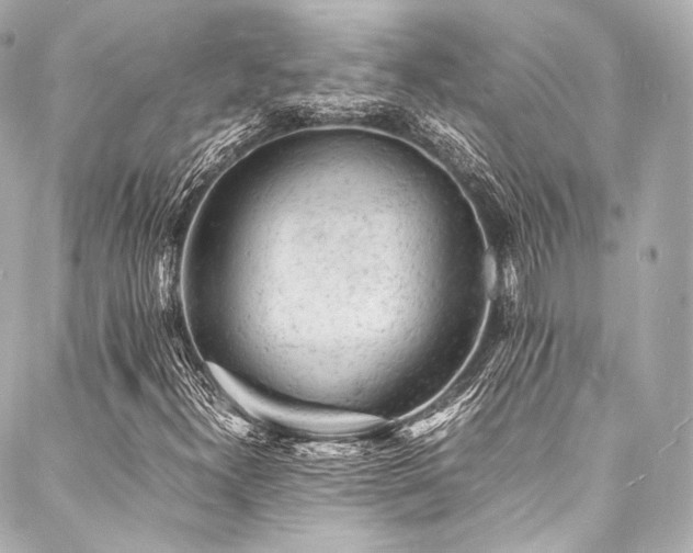 X0000088031300200705111145