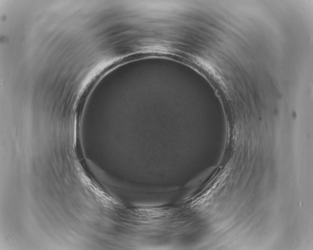 X0000088031323200705111146
