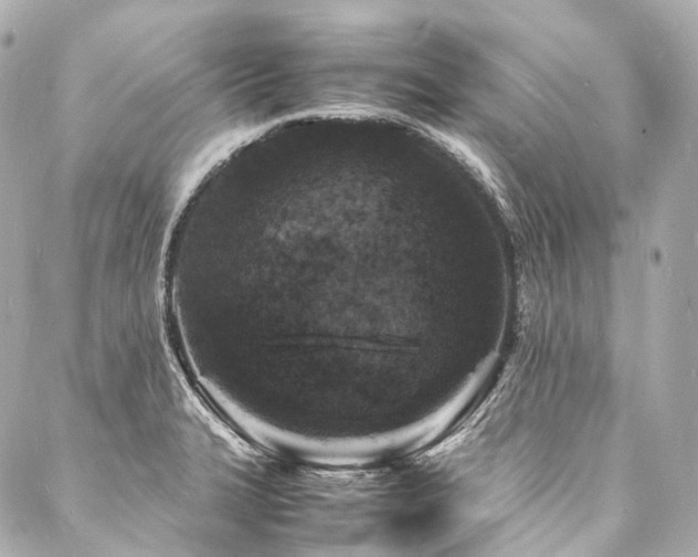 X0000088031327200705111146