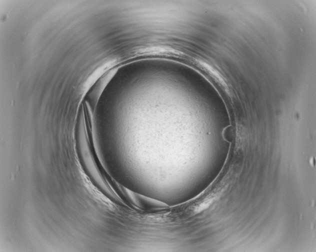 X0000088031330200705111146