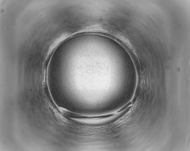 X0000088031366200705111145