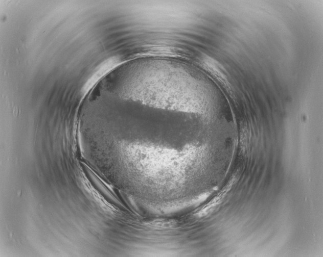 X0000088031378200705111145
