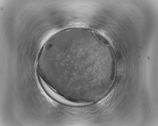 X0000088031383200705111145