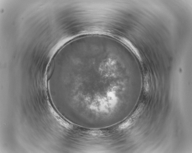X0000088031388200705111145