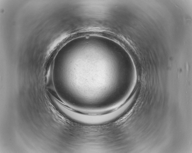 X0000088031406200705111144