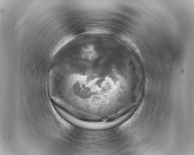X0000088031425200705111144