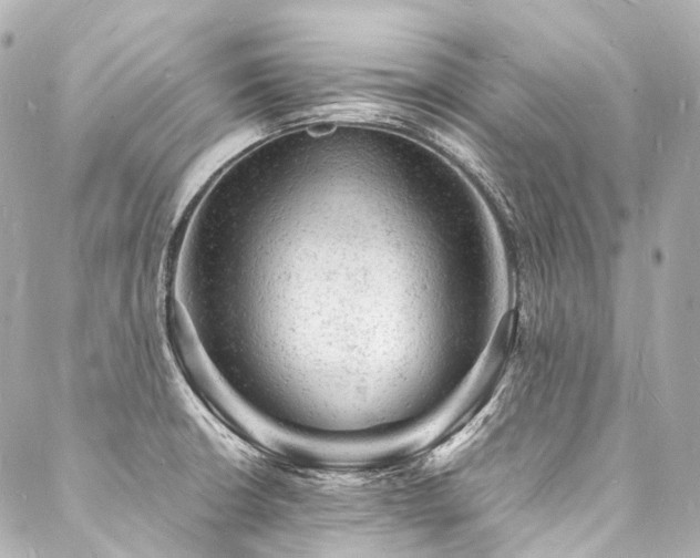 X0000088031426200705111144