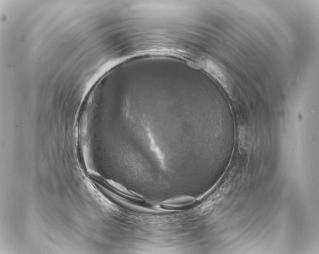 X0000088031428200705111144