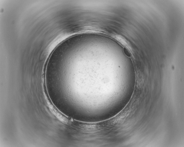 X0000088031431200705111144