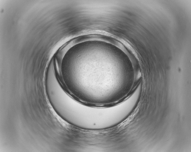 X0000088031438200705111144