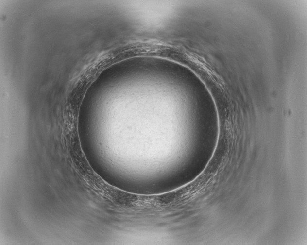 X0000088031447200705111144
