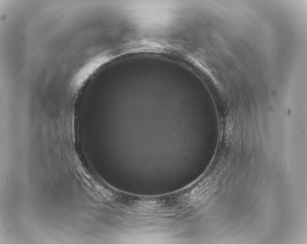X0000088031455200705111143