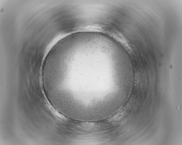 X0000088031470200705111143