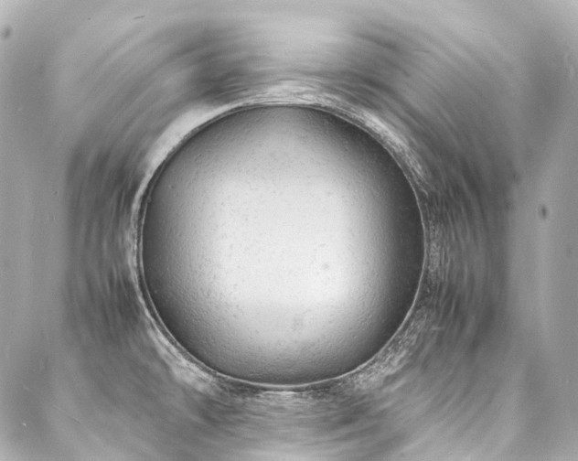 X0000088031478200705111143