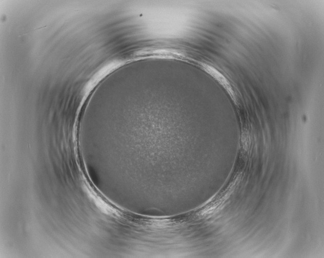 X0000088031482200705111143