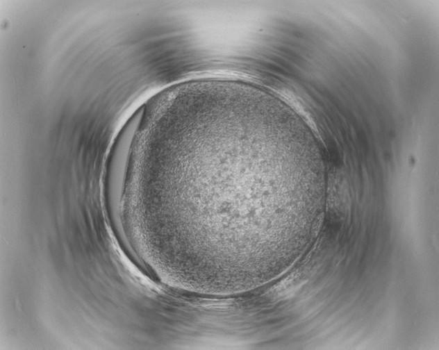 X0000088031484200705111143