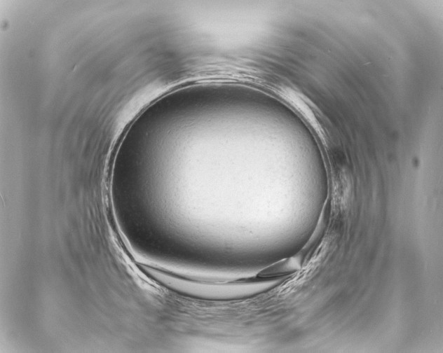 X0000088031485200705111143