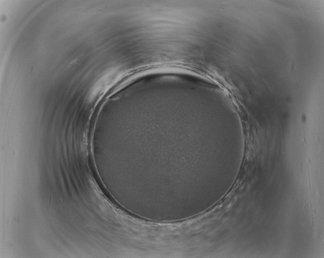 X0000088030002200705182037