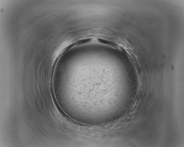 X0000088030003200705182037