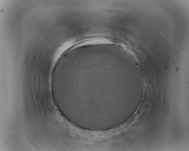 X0000088030006200705182037