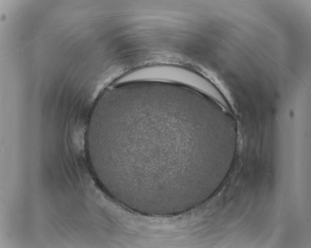 X0000088030010200705182037