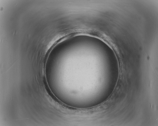 X0000088030011200705182037