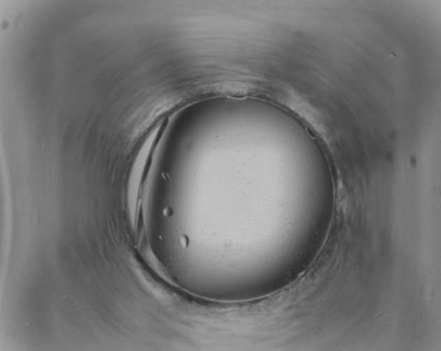 X0000088030013200705182037