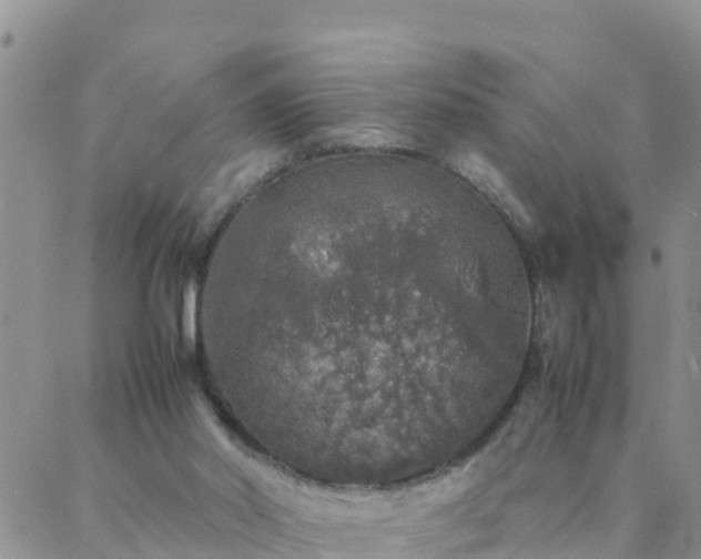 X0000088030014200705182037