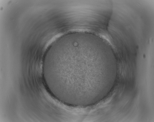 X0000088030016200705182037