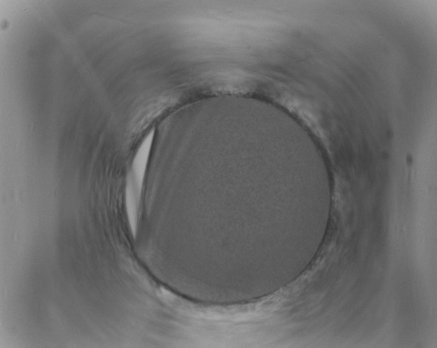 X0000088030017200705182037