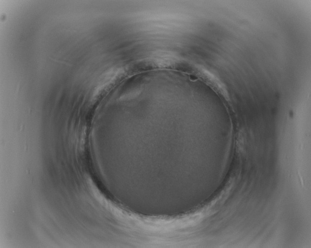 X0000088030018200705182037