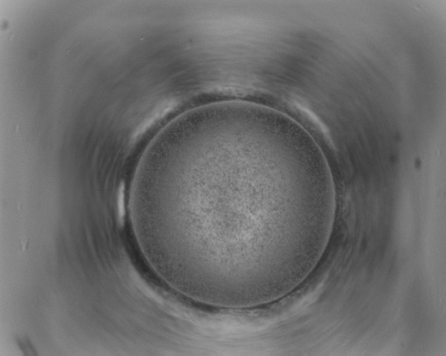 X0000088030020200705182037