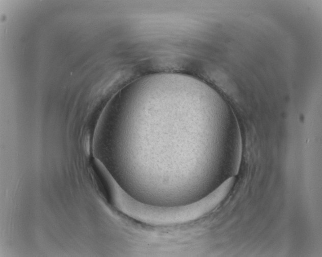 X0000088030021200705182037