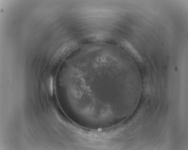 X0000088030022200705182037