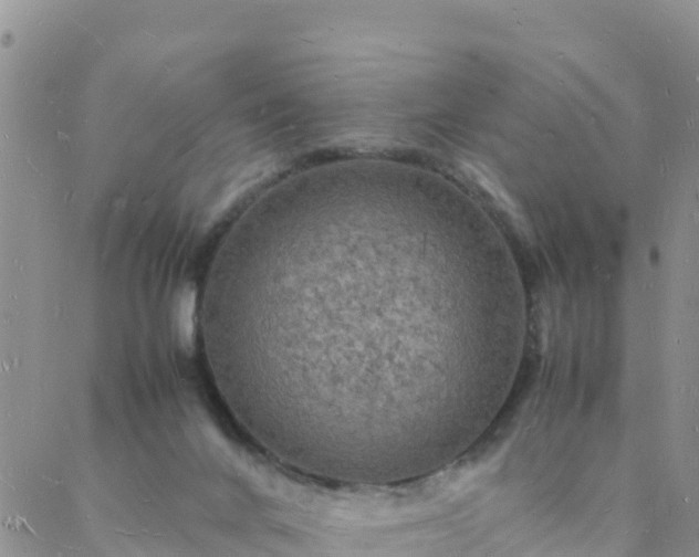 X0000088030024200705182037