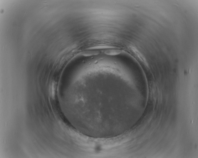 X0000088030026200705182037