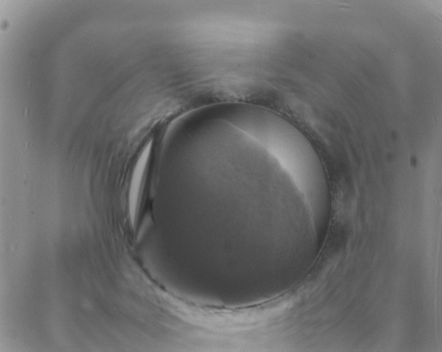 X0000088030027200705182036