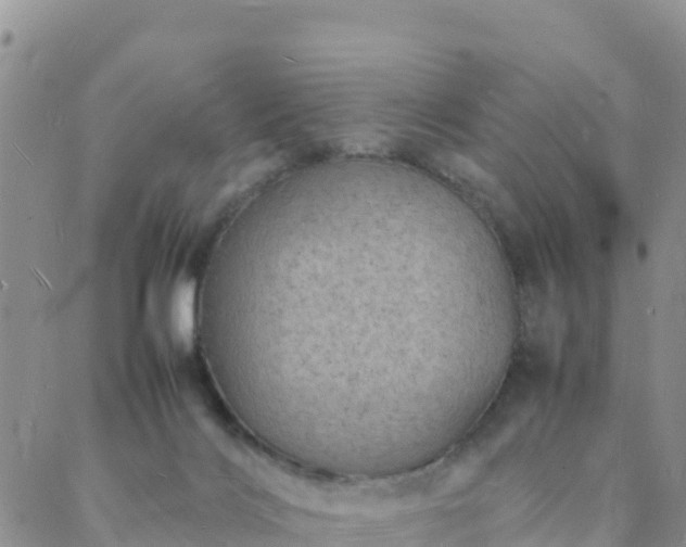 X0000088030028200705182036