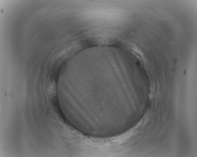 X0000088030029200705182036