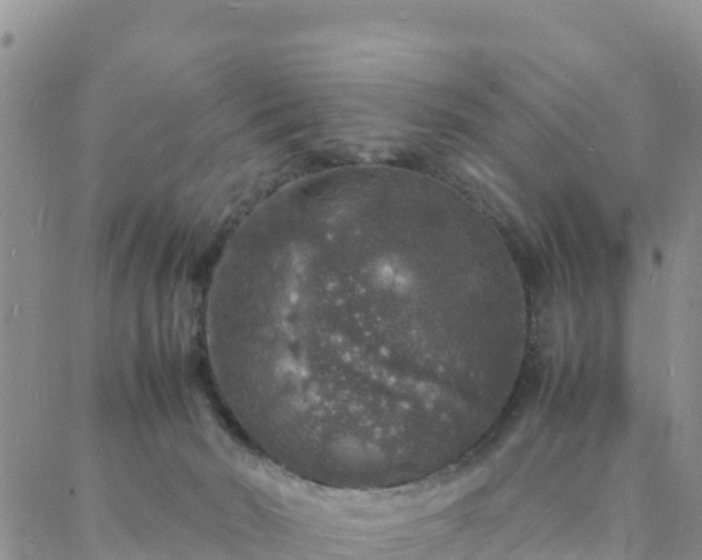 X0000088030030200705182036